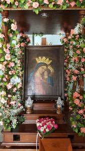 la sacra immagine della Madonna del Buon Consiglio---.