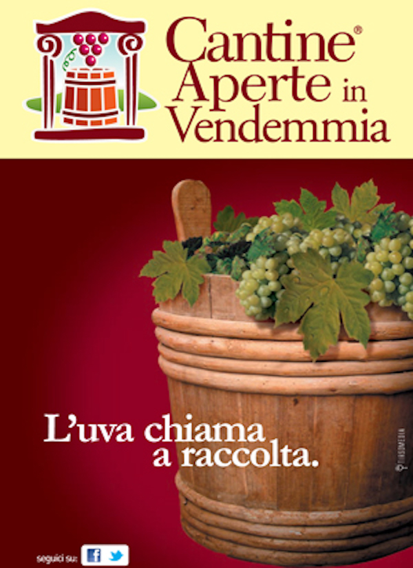 cantine-aperte-in-vendemmia